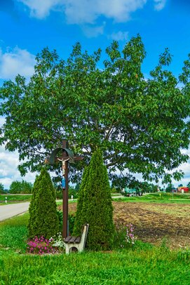 Thumbnail: 23_O5A3598 Lochbauer.jpg